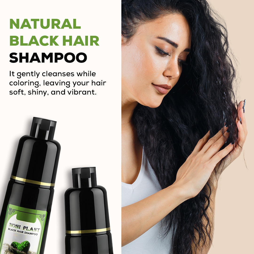 Black Hair Herbal Shampoo (Buy 1 Get 1 Free)