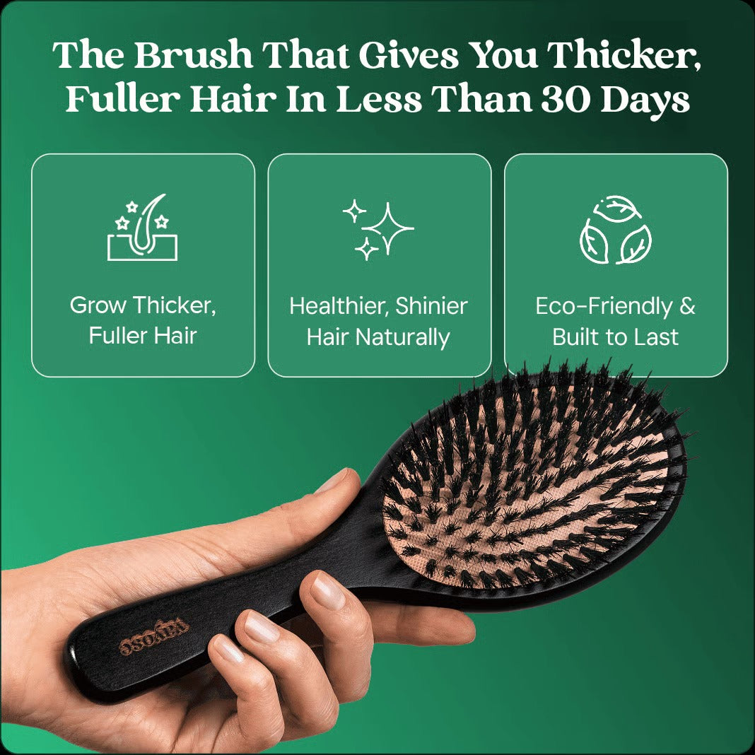 No Shedding Hair Brush