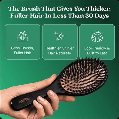 No Shedding Hair Brush
